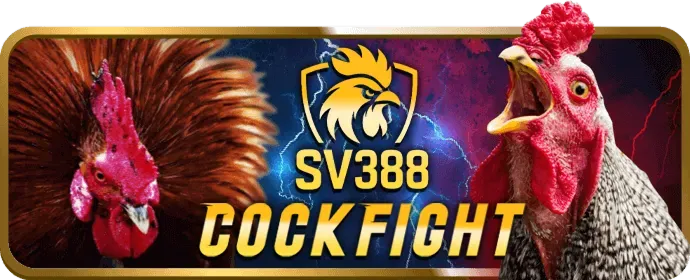 Cá cược thể thao Kubet11